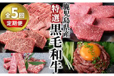 ＜定期便・全5回＞カミチク 特選黒毛和牛定期便 国産 鹿児島県産 黒毛和牛 【カミチク】T10-v01