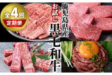 ＜定期便・全4回＞カミチク お試し黒毛和牛定期便 国産 鹿児島県産 黒毛和牛 【カミチク】T9-v01