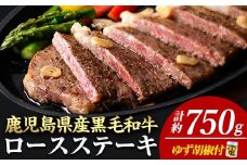 ＜14営業日以内に発送！＞＜3枚・計約750g＋ハンバーグ3個＞4等級以上！鹿児島県産黒毛和牛ロースステーキ3枚セット 黒毛和牛 ステーキ 冷凍【ナンチク】B1-02-v04