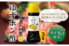 ＜3本セット＞ゆず ポン酢 (3本・各280ml)  だしつゆ 調味料 鹿児島産 【株式会社財宝】A433-01