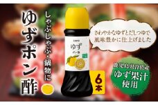 ＜6本セット＞ゆず ポン酢 (6本・各280ml)  だしつゆ 調味料 鹿児島産 【株式会社財宝】A433-02-v01
