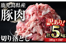 【訳あり】＜計5kg＞鹿児島県産豚肉 切り落とし(計5kg・500g×10パック) 豚肉 小分け 冷凍【おきどき】A458-v02
