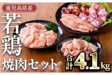 鹿児島県産 若鶏焼肉セット(計4.1kg) 小分け 鶏肉 セット【TRINITY】A470-v02