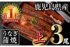 【期間限定企画！】無投薬！鹿児島県産うなぎ蒲焼セット＜上＞(合計420g以上・ 140g以上×3尾) タレ・山椒付き 鰻 ウナギ 国産【西日本養鰻】A505-v01