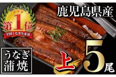 無投薬！鹿児島県産うなぎ蒲焼セット＜上＞(計700g以上・ 140g以上×5尾) タレ・山椒付き 鰻 ウナギ 国産【西日本養鰻】B170-v01