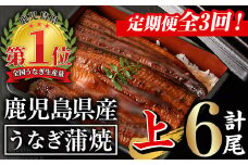 【定期便全3回】無投薬！鹿児島県産うなぎ蒲焼セット＜上＞(計840g以上・140g以上×2尾×3回) タレ・山椒付き 鰻 ウナギ 国産【西日本養鰻】T26