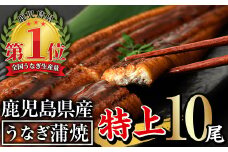 無投薬！鹿児島県産うなぎ蒲焼セット＜特上＞(計1.6kg以上・ 160g以上×10尾) タレ・山椒付き 鰻 ウナギ 国産【西日本養鰻】D31-v01