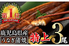 無投薬！鹿児島県産うなぎ蒲焼セット＜特上＞(計480g以上・ 160g以上×3尾) タレ・山椒付き 鰻 ウナギ 国産【西日本養鰻】A506-v01