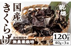 国産きくらげ(計120g・3袋)国産 キクラゲ 常温【九南サービス(タマチャンショップ)】A501