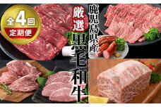 ＜定期便・全4回＞カミチク 厳選定期便 黒毛和牛 小分け 詰め合わせ【カミチク】T25-v01