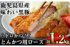 かごしま味わい黒豚 とんかつ用ロース【トロかつ】 (計1.2kg・200g×6枚) 鹿児島県産 豚肉 黒豚 【KNOT】 A559