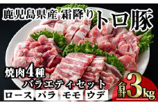 鹿児島県産霜降りトロ豚 焼き肉用バラエティセット (合計3kg) 鹿児島県産 豚肉 霜降り 【KNOT】 A566