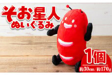 【数量限定】そお星人 ぬいぐるみ (1個・全長30cm / 約170g) ゆるキャラ ぬいぐるみ そお星人 【曽於市観光協会】 A604