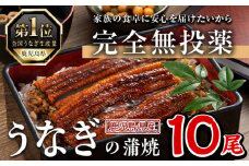 鹿児島県産うなぎ蒲焼 (1尾あたり136g～155g×10尾、タレ・山椒付き) 鰻 ウナギ うな重 ひつまぶし かばやき 九州産 国産 冷凍【西日本養鰻】D34