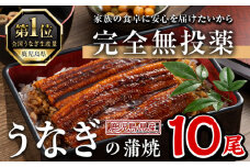 鹿児島県産うなぎ蒲焼 (1尾あたり136g～155g×10尾、タレ・山椒付き) 鰻 ウナギ うな重 ひつまぶし かばやき 九州産 国産 冷凍【西日本養鰻】D34