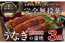 鹿児島県産うなぎ蒲焼 (1尾あたり136g～155g×3尾、タレ・山椒付き) 鰻 ウナギ うな重 ひつまぶし かばやき 九州産 国産 冷凍【西日本養鰻】A583