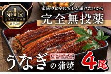 鹿児島県産うなぎ蒲焼 (1尾あたり136g～155g×4尾、タレ・山椒付き) 鰻 ウナギ うな重 ひつまぶし かばやき 九州産 国産 冷凍【西日本養鰻】A584