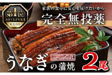 鹿児島県産うなぎ蒲焼 (1尾あたり136g～155g×2尾、タレ・山椒付き) 鰻 ウナギ うな重 ひつまぶし かばやき 九州産 国産 冷凍【西日本養鰻】A582