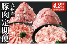 ＜定期便・全3回(連続)＞毎月違う豚肉をお届け！九州産豚肉定期便 (合計4.2kg) 豚肉 定期便 国産 【ナンチク】 T32