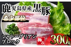 かごしま味わい黒豚希少部位 極みシャトーブリアン (300g) 豚肉 冷凍 シャトーブリアン【KNOT】 A619