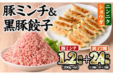 豚ミンチ6袋＆黒豚餃子2種詰合せ (豚ミンチ：200g×6P・黒豚餃子(ショウガ)：12個×1P・黒豚餃子(ニンニク)：12個×1P) 鹿児島県産 豚ミンチ 餃子【株式会社南給】A589