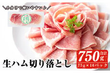 ＜2025年10月中に発送予定＞国産豚生ハム切り落とし75g×10P(計750g) 生ハム おつまみ 小分け 【ナンチク】A302-10-v01