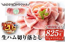 【期間限定企画！】＜2025年11月中に発送予定＞国産豚生ハム切り落とし75g×11P(計825g) 生ハム おつまみ 小分け 【ナンチク】A302-11-v02