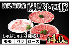 鹿児島県産薩摩トロ豚しゃぶしゃぶ3種盛り (合計4.0kg) 鹿児島県産 豚肉 小分け 【KNOT】 B192