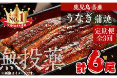 ＜定期便・全3回＞鹿児島県産うなぎ蒲焼 (1尾あたり136g～155g×2尾×3回、タレ・山椒付き) 鰻 ウナギ 国産【西日本養鰻】T46