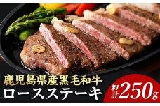 ＜14営業日以内に発送！＞＜1枚・計約250g＋ハンバーグ1個＞4等級以上！鹿児島県産黒毛和牛ロースステーキ1枚セット 黒毛和牛 ステーキ 冷凍【ナンチク】B1-00