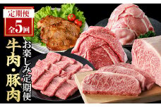 ＜定期便・全5回(連続)＞毎月違うお肉をお届け！お楽しみ定期便 (合計2.66kg以上)  牛肉 豚肉 定期便 【ナンチク】  T47