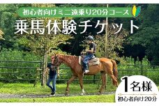【乗馬体験チケット】ミニ遠乗り20分～初心者向け、5歳以上～(1名様) 体験 乗馬 チケット【曽於市観光協会】 A783