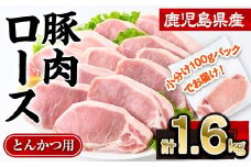 鹿児島県産豚肉ロースとんかつ(計1.6kg・100g×16P) 豚肉 ロース とんかつ【株式会社羽根】A722