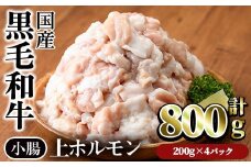 【鮮度抜群！】国産黒毛和牛小腸（上ホルモン計800g） ホルモン 焼肉 黒毛和牛【カミチク】A827