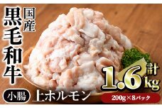 【鮮度抜群！】国産黒毛和牛小腸（上ホルモン計1.6kg） ホルモン 焼肉 黒毛和牛【カミチク】A828