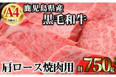【数量限定】鹿児島県産黒毛和牛A4等級以上肩ロース焼肉用 (計750g＋黒毛和牛こま切れ250g×1P) 鹿児島県産 牛肉 冷凍 【KNOT】 A806-v01
