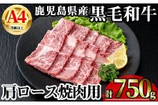【数量限定】鹿児島県産黒毛和牛A4等級以上肩ロース焼肉用 (計750g＋黒毛和牛こま切れ250g×1P) 鹿児島県産 牛肉 冷凍 【KNOT】 A806-v01