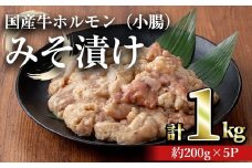 国産牛ホルモン（小腸）みそ漬け(計1kg・約200g×5パック) 牛肉 ホルモン みそ漬け【おきどき】A817-v01
