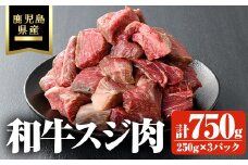 鹿児島県産和牛スジ肉 計750g(250g×3P) 鹿児島県産 和牛 スジ【ビーフ倉薗】A801