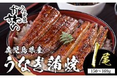 ＜うなぎ屋かわすい＞鹿児島県産 国産うなぎ蒲焼 (1本・150～169g) タレ入り 鰻 うな重 かばやき【川口水産】A853