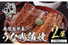＜うなぎ屋かわすい＞【OPEN記念！きざみ鰻セット！】鹿児島県産 国産うなぎ蒲焼 (計375g以上 / 1本あたり150～169g×2本・計300g以上 ＆ きざみ鰻 75g) タレ入り 鰻 うな重 かばやき【川口水産】A854-v01