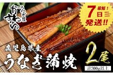 【7営業日以内に発送！】＜うなぎ屋かわすい＞【OPEN記念！きざみ鰻セット！】鹿児島県産 国産うなぎ蒲焼 (計375g以上 / 1本あたり150～169g×2本・計300g以上 ＆ きざみ鰻 75g) タレ入り 鰻 うな重 かばやき【川口水産】A854-v01