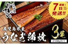 【7営業日以内に発送！】＜うなぎ屋かわすい＞【OPEN記念！きざみ鰻セット！】鹿児島県産 国産うなぎ蒲焼 (計525g以上 / 1本あたり150～169g×3本・計450g以上 ＆ きざみ鰻 75g) タレ入り 鰻 うな重 かばやき【川口水産】A855-v01