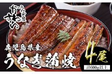 ＜うなぎ屋かわすい＞【OPEN記念！きざみ鰻セット！】鹿児島県産 国産うなぎ蒲焼 (計675g以上 / 1本あたり150～169g×4本・計600g以上 ＆ きざみ鰻 75g) タレ入り 鰻 うな重 かばやき【川口水産】A856-v01