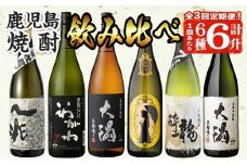 ＜定期便・全3回(連続)＞曽於市の焼酎こだわり6本セットA(1800ml×6種×3回)一升瓶 芋焼酎 鹿児島【山元商店】T55