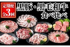 ＜定期便・全3回＞黒豚と黒毛和牛の食べ比べ定期便 (合計3.48kg) 豚肉 牛肉 冷凍  【KNOT】 T64