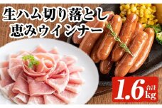 ＜2025年10月中に発送予定＞国産豚生ハム切り落とし・業務用荒挽き恵みウインナー(合計1.6kg) 生ハム おつまみ 小分け 【ナンチク】A941-10