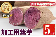 【数量限定】紫芋 加工用さつまいも紫優(5kg) 芋 さつまいも 紫芋【瀬崎農園】A418-v01
