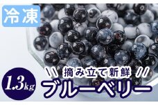 A-050 霧島市産ブルーベリー1.3kg(冷凍)【霧島農産加エグループふきのとう】霧島市 ブルーベリー 冷凍 新鮮 フルーツ