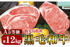 P-702 鹿児島県産黒毛和牛＜A5等級＞黒毛和牛特選サーロイン1本約12kg【きりしま畜産】牛肉 国産 サーロイン ブロック 牛 ブロック肉  a5